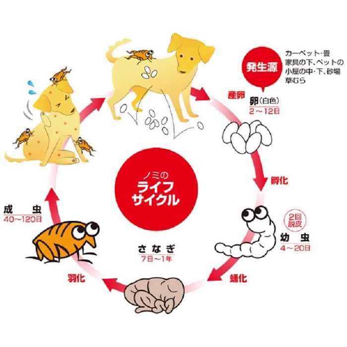 アース ペット 薬用ノミマダニとり 蚊よけ首輪小型犬用 1本 ホームセンターナフコの公式オンラインストア