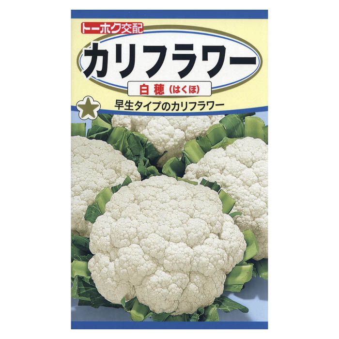 カリフラワー 花ヤサイ白穂の通販 ホームセンターナフコ 公式通販